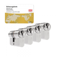 DOM Sig&shy;ma Plus ci&shy;lin&shy;der (4x) - SKG**