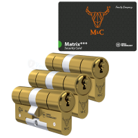 M&C Ma&shy;trix ci&shy;lin&shy;der met kern&shy;trek&shy;be&shy;vei&shy;li&shy;ging (3x) - mes&shy;sing - SKG***