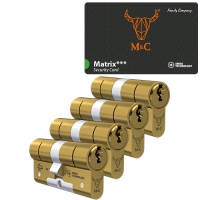 M&C Ma&shy;trix ci&shy;lin&shy;der met kern&shy;trek&shy;be&shy;vei&shy;li&shy;ging (4x) - mes&shy;sing - SKG***